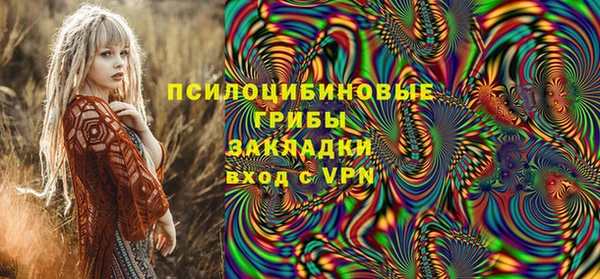 ПСИЛОЦИБИНОВЫЕ ГРИБЫ Абинск