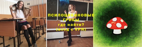 ПСИЛОЦИБИНОВЫЕ ГРИБЫ Абинск
