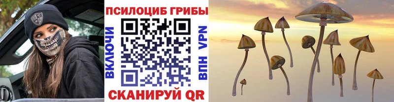 как найти закладки  Горбатов  Галлюциногенные грибы мухоморы 